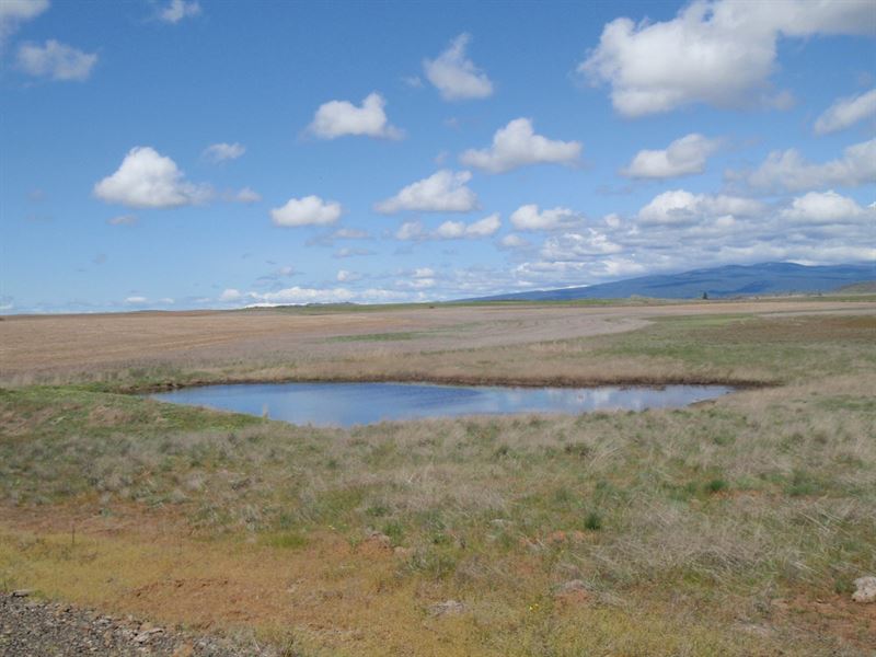 Land Goldendale Washington, Hood : Goldendale : Klickitat County : Washington
