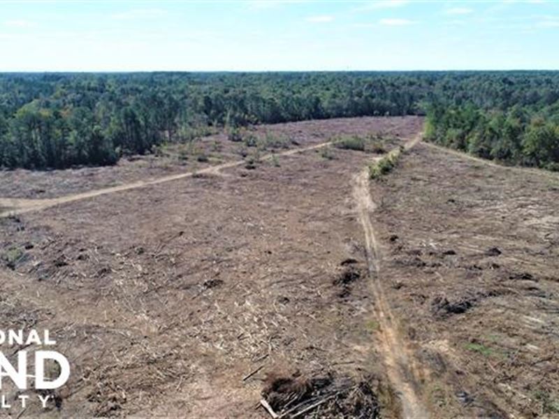 Town Creek, Farm for Sale in North Carolina, 191860 FARMFLIP