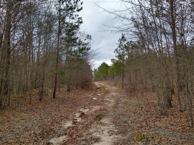 17.55 Acres, Fairfield County : Ridgeway : Fairfield County : South Carolina