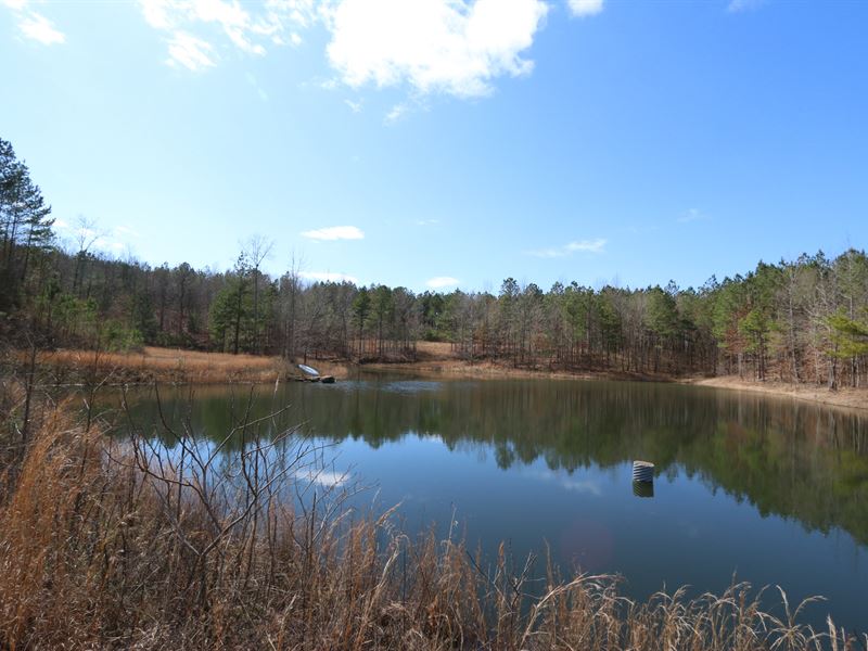 197+/- Acres, Lake & 2 Creeks : Oneonta : Etowah County : Alabama
