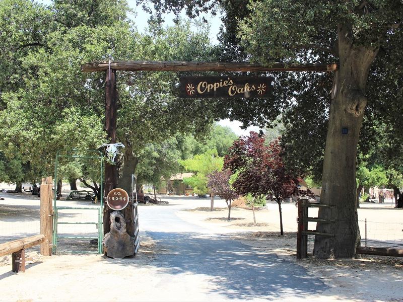 Beautiful Oak Sanctuary : Boulevard : San Diego County : California