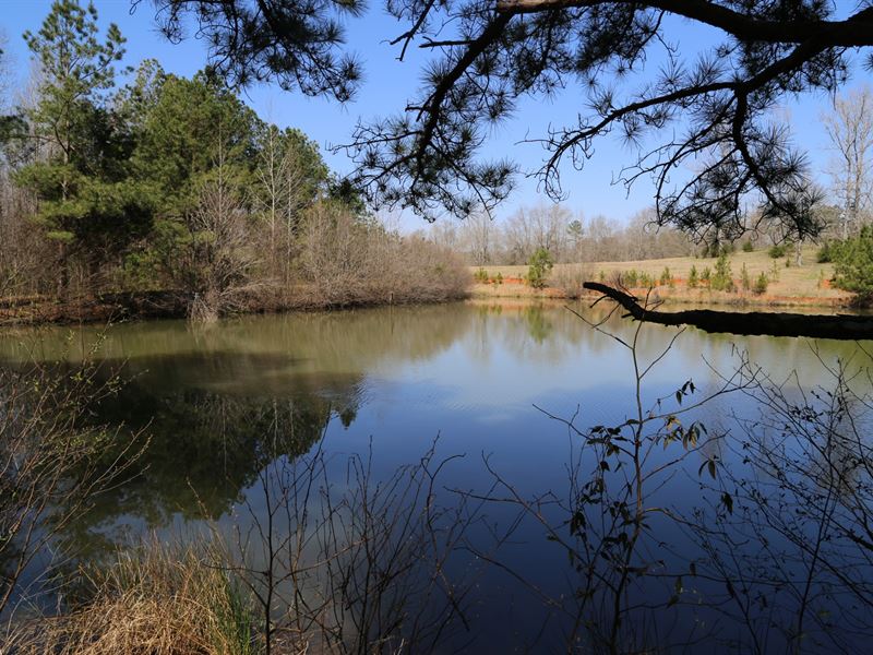 Randolph Retreat, Lake & Pastures : Lineville : Randolph County : Alabama