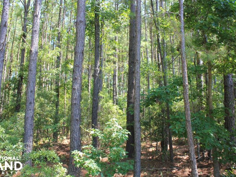 Moncks Corner Area Large Acreage Ho, Farm for Sale in South Carolina