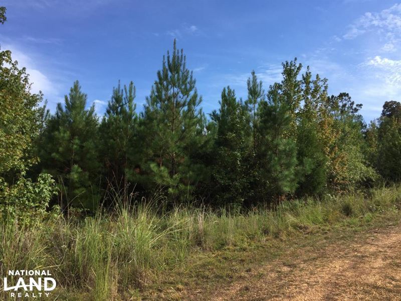 Bridlepath Road Jackson Lot : Jackson : Clarke County : Alabama