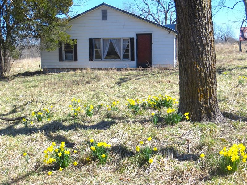 Property Mark Twain National Forest, Farm for Sale in Missouri, 192094