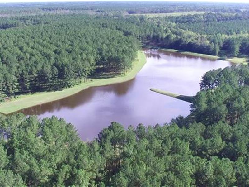 Evans County Large Acreage, Farm for Sale in 192212 FARMFLIP