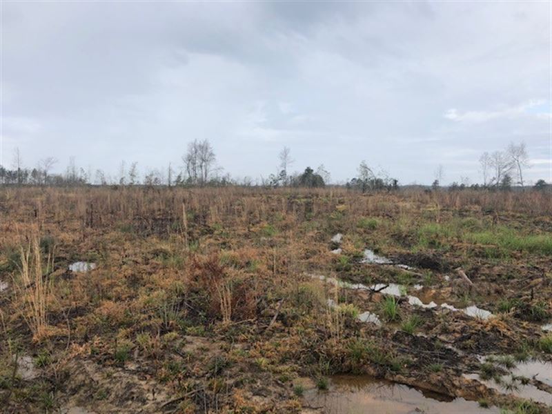 House Sites with Hunting : Bogue Chitto : Lincoln County : Mississippi