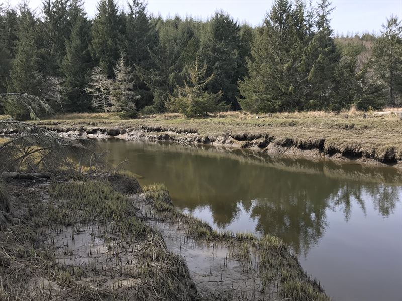 South Nemah Farm for Sale in Naselle, Pacific County, Washington 192328 FARMFLIP