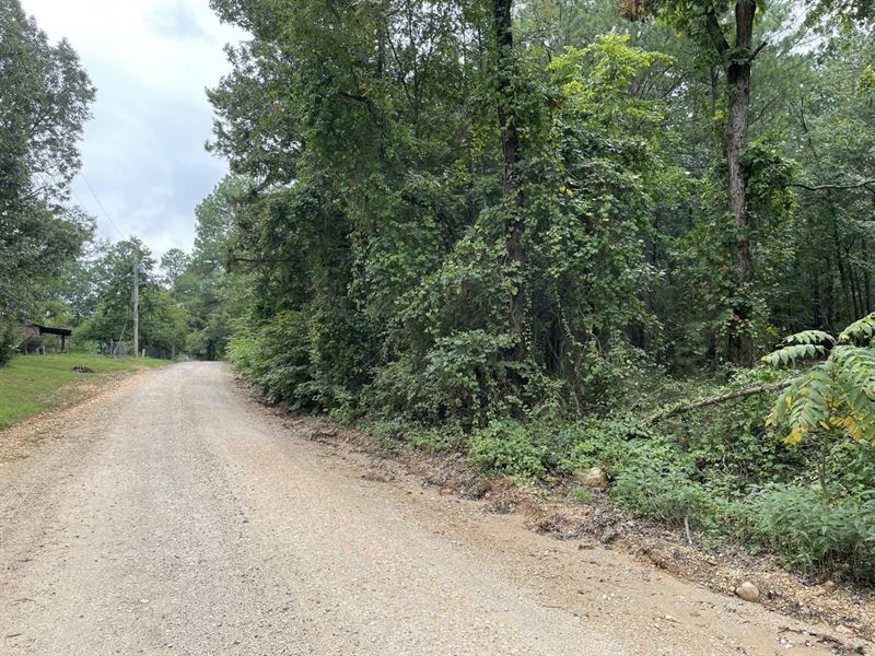 12 Acres, Cave City, Arkansas : Cave City : Sharp County : Arkansas