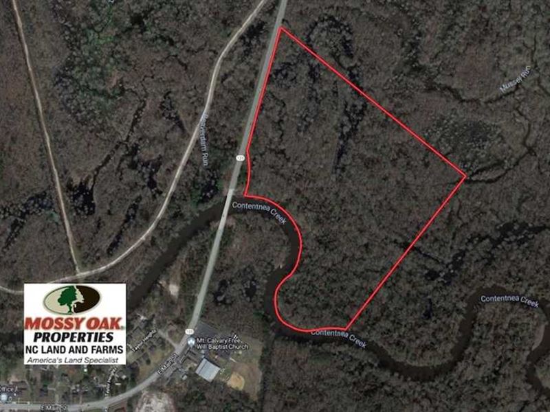 Under Contract, 43.66 Acres of Cr : Hookerton : Greene County : North Carolina