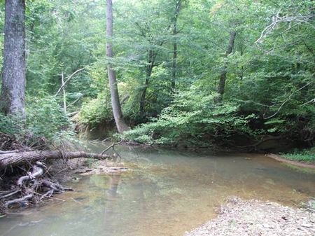 17 Acres On Wolf Creek : Townley : Fayette County : Alabama