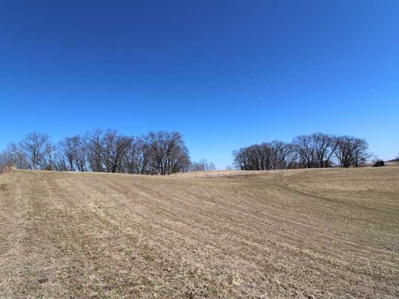 Foster Rd, 38 Acres : Dresden : Muskingum County : Ohio