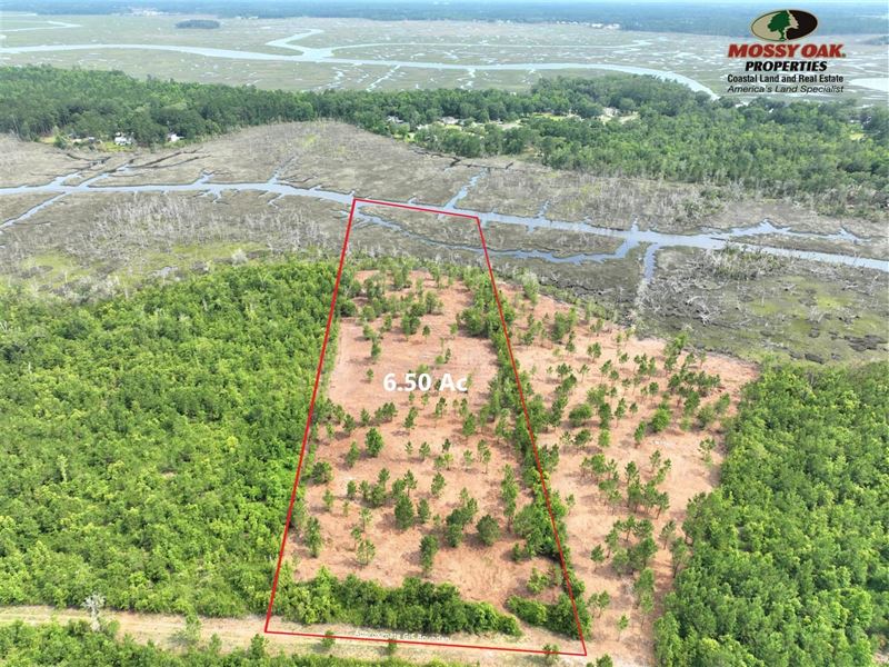 6.50 Ac Harrietts Bluff Road Land : Woodbine : Camden County : Georgia