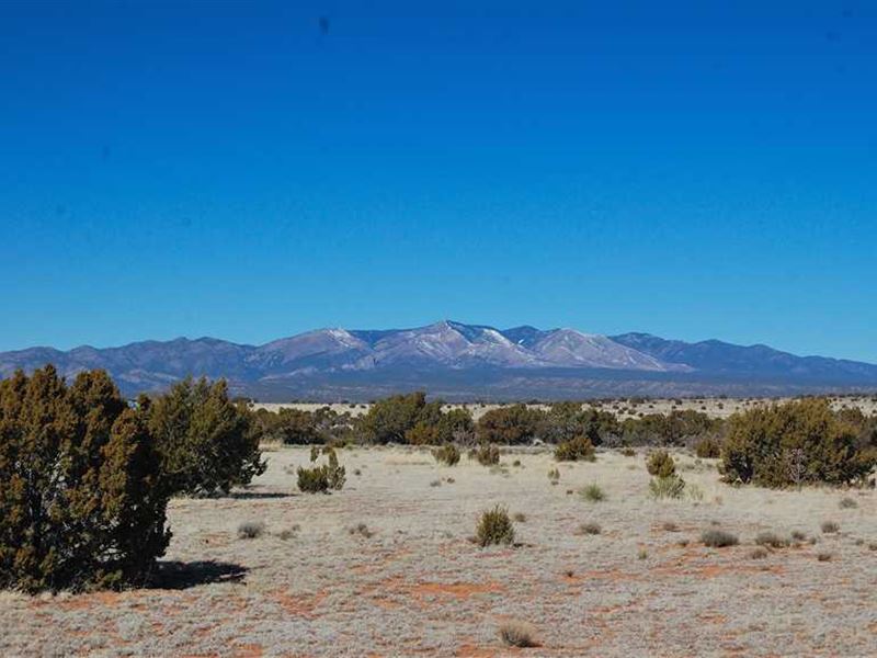 Abo Ranches Tract 19, Farm for Sale in New Mexico, 192654 Buy Farms