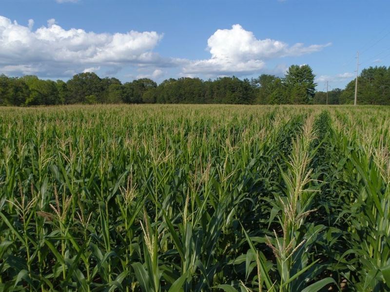 Charming Recreational Land Adams, Farm for Sale in Wisconsin, 192710