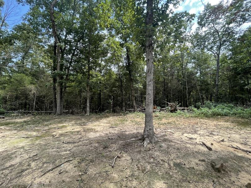 10 Acres, Wooded, Mountain View : Mountain View : Stone County : Arkansas