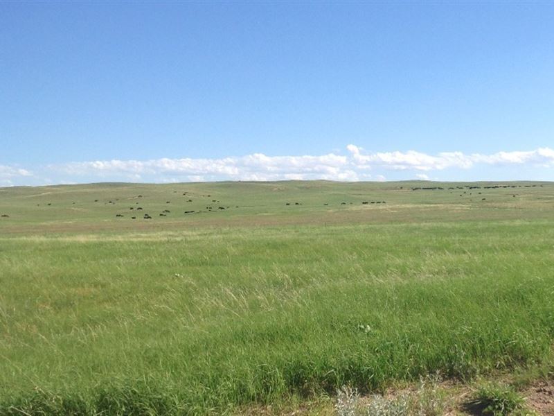 McCasland's Figure 2 Ranch : Arthur : Arthur County : Nebraska