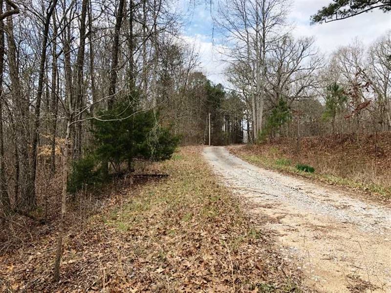 39.50 Acres Land for Sale Marion, Farm for Sale in Alabama, 192956