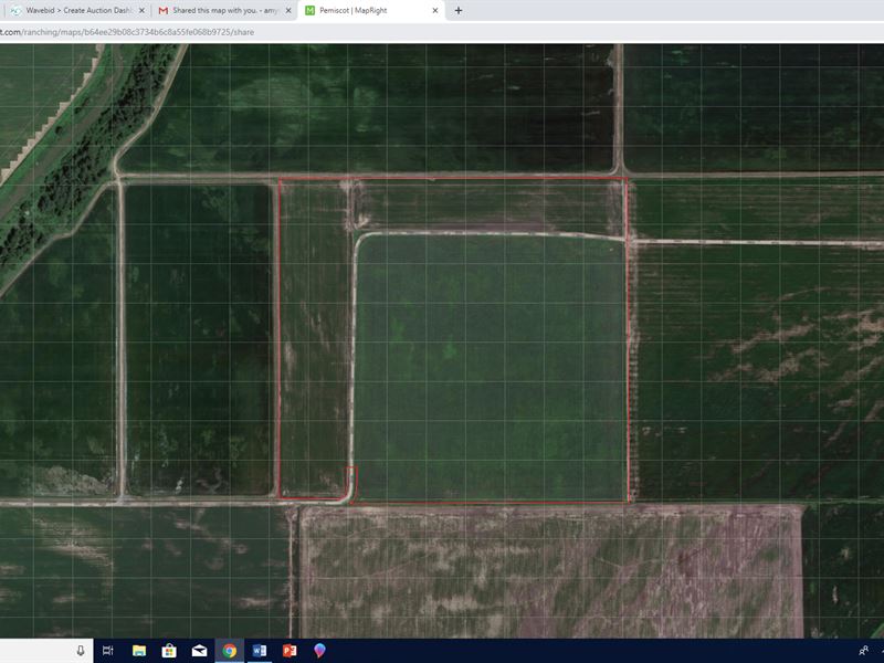 67 Acres Pemiscot County, Missouri, Farm Auction in Missouri, 193002