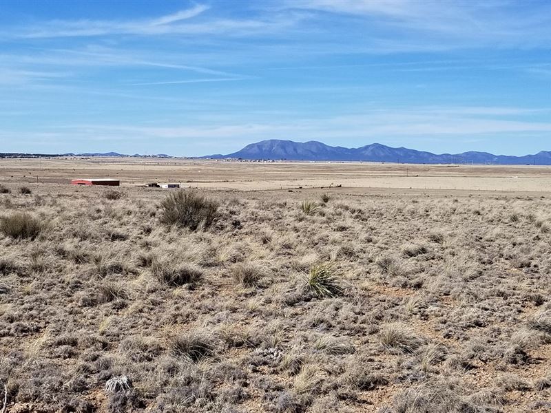 5 Ac Tract Moriarty NM Owner : Moriarty : Torrance County : New Mexico