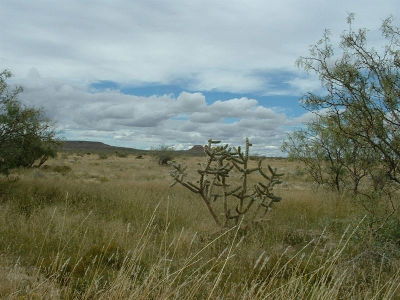 100 Acs, for Only $498/Mo : Sierra Blanca : Hudspeth County : Texas