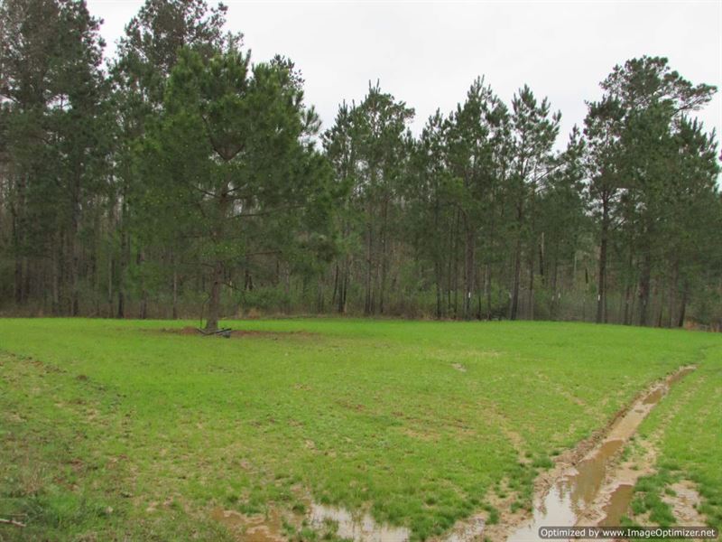 Hunting Camp Land : Carthage : Leake County : Mississippi