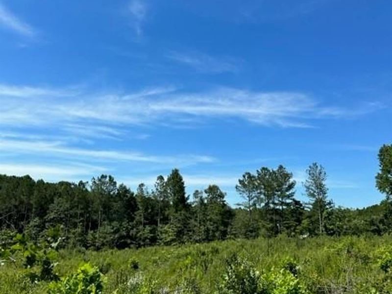 5.86 Acres Partially Wooded : Tracy City : Marion County : Tennessee