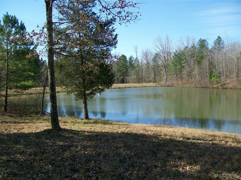 Recreation Land For Sale : Farm for Sale in Medon ...