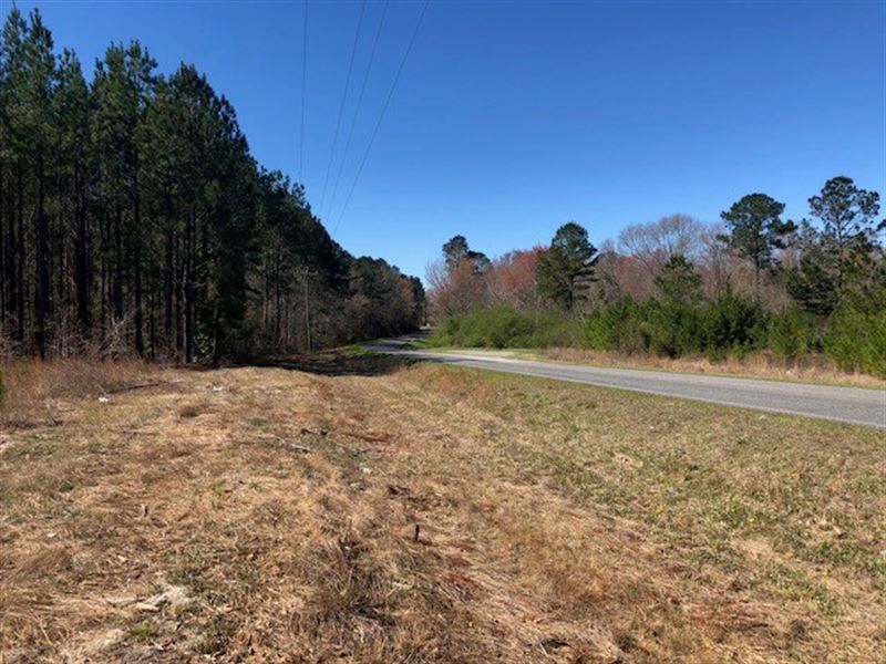 Snellbridge Estate : East Dublin : Laurens County : Georgia