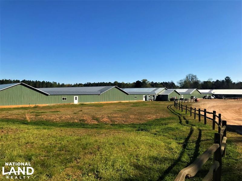 Batesburg Chicken Breeder Farm : Batesburg-Leesville : Saluda County : South Carolina