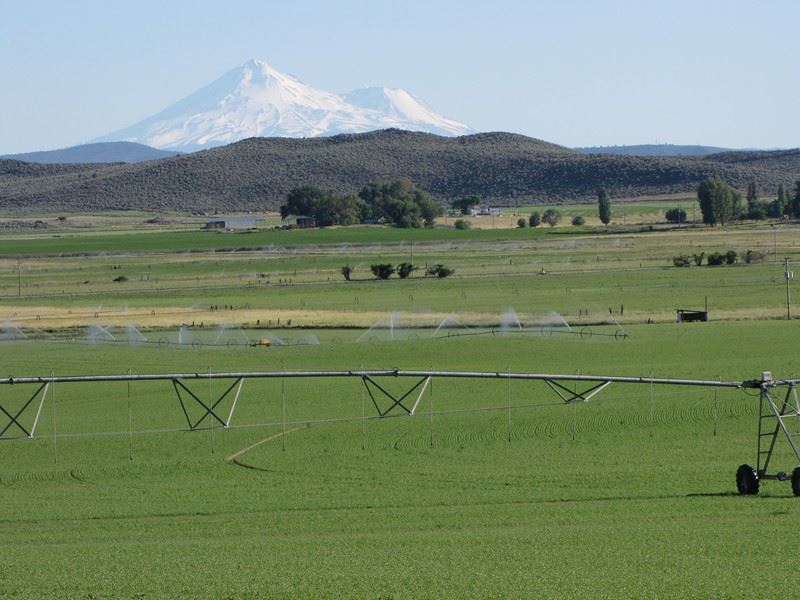 A Rare Find Farm for Sale in Klamath Falls, Klamath County, Oregon