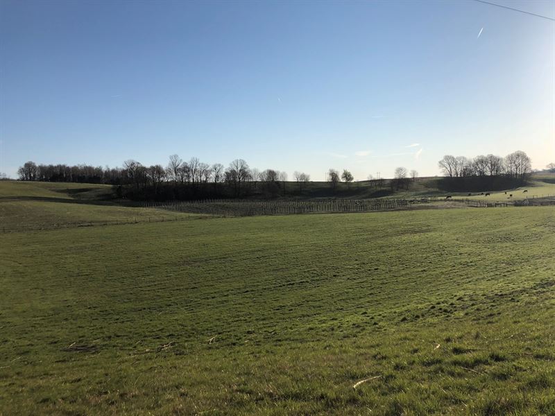 Farm, South Central Ky, Barn, Farm for Sale in Kentucky, 193618 FARMFLIP