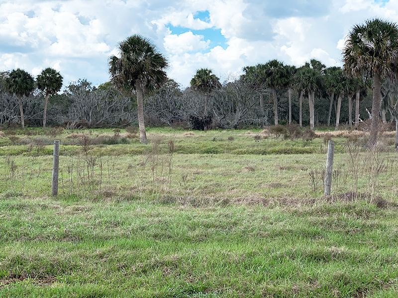 Zolfo Springs Prairie Pasture, Farm for Sale in Florida, 193664 FARMFLIP