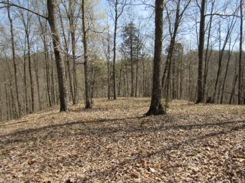 24.82Ac, No Restric, Totally Wooded : Hilham : Clay County : Tennessee