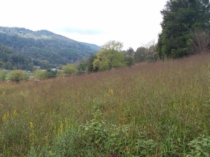 Beautiful Property and View : Sneedville : Hancock County : Tennessee