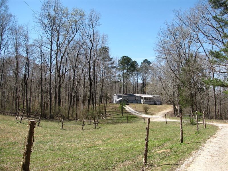Home Acreage Tn, Barn, Creek, Pond : Scotts Hill : Henderson County : Tennessee