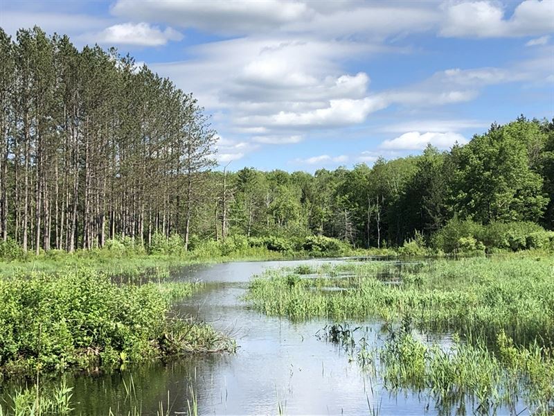 Canoe and Fish From Your Own Land : Camden : Oneida County : New York