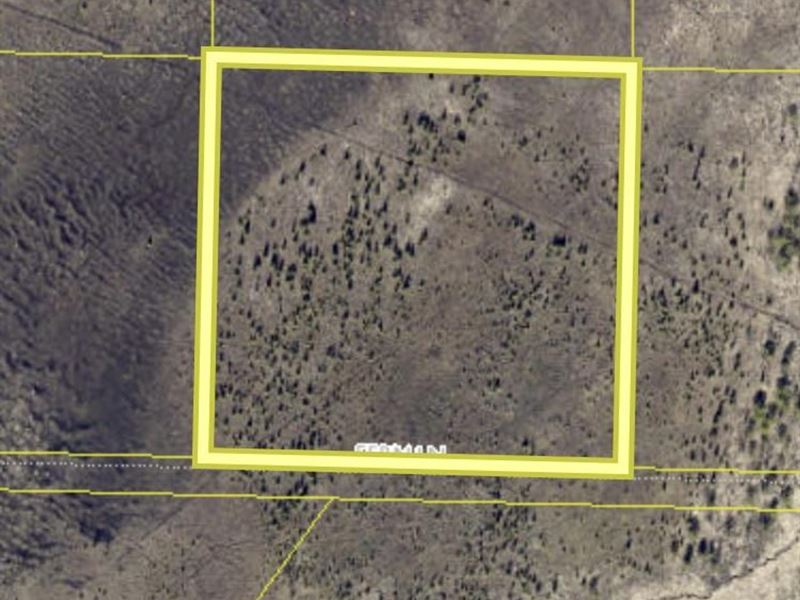 Invest in This Land : Anchor Point : Kenai Peninsula Borough : Alaska
