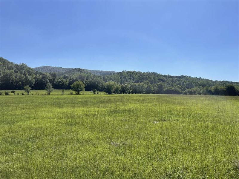 100 Acres of Prime River Front Land : Norman : Montgomery County : Arkansas