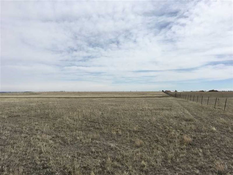 Lease to Grow Hemp Farm : Elbert : Elbert County : Colorado