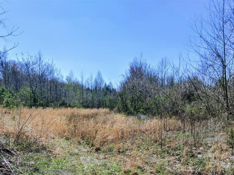 30 Acres Just Outside Of McKenzie, Farm for Sale in Tennessee, 194497