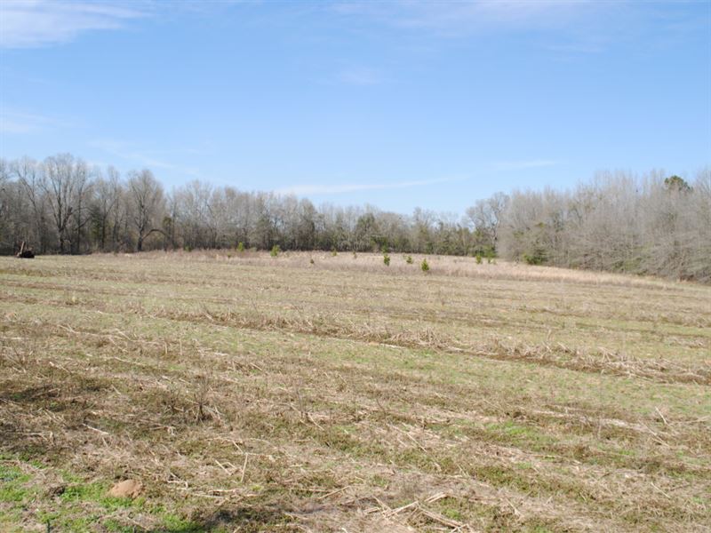 Hightower Tract, Farm for Sale in South Carolina, 194524 FARMFLIP