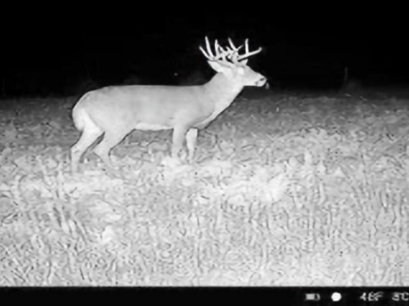 145 Acres Knox County, Nebraska : Verdigre : Knox County : Nebraska