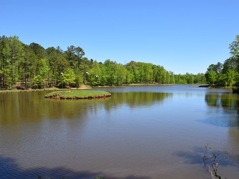 12 Acre Lake, 2 Cabins : Roberta : Crawford County : Georgia