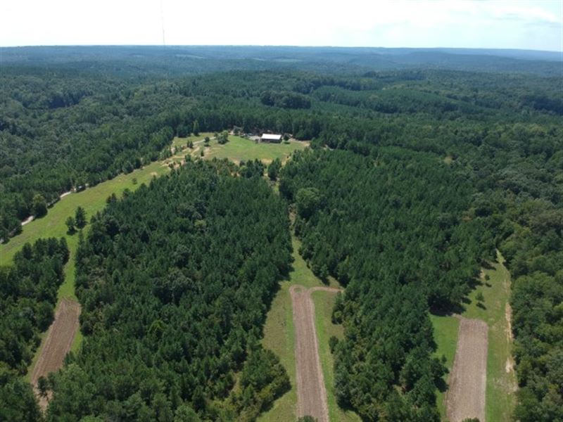Price Reduced, Windy Ridge Farm : Ridgeway : Fairfield County : South Carolina