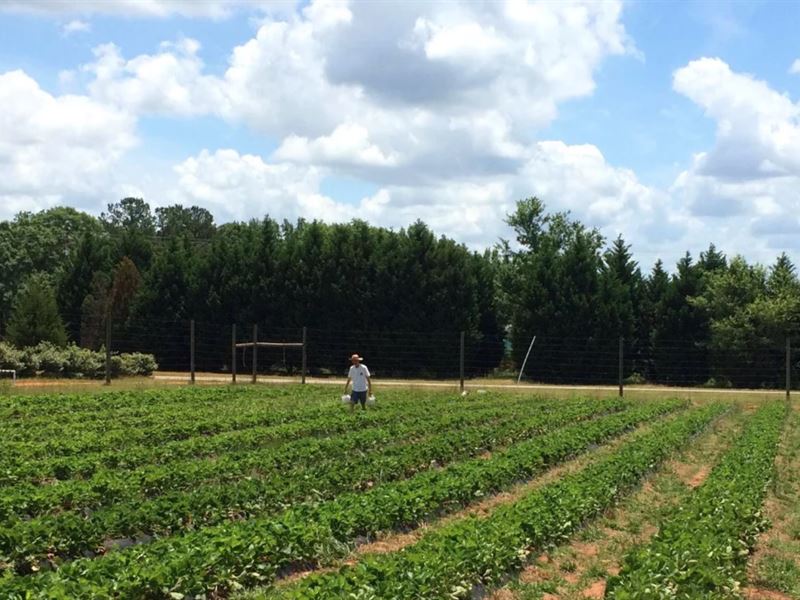 Twin Oaks Fun Farm, Farm for Sale in 194823 FARMFLIP