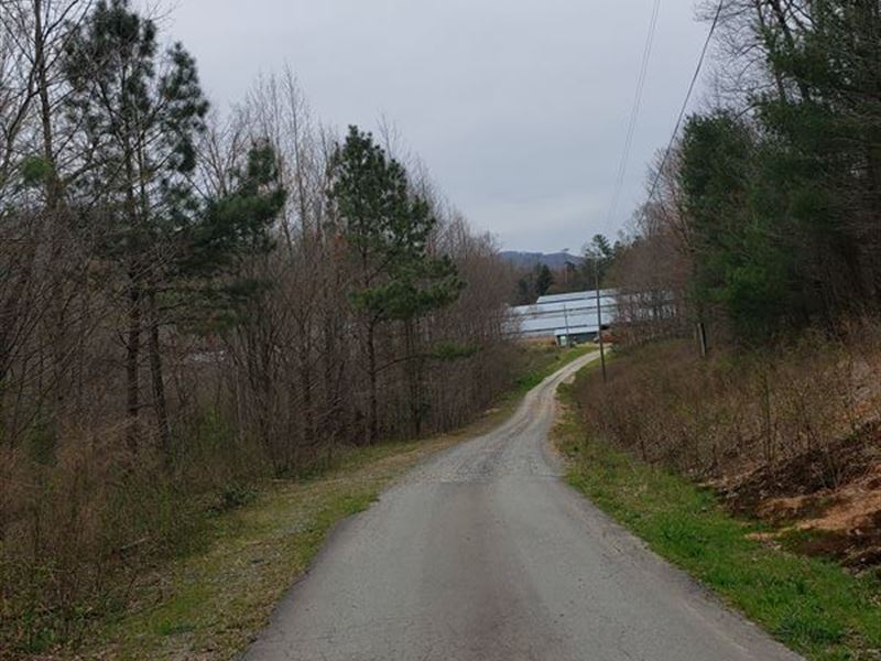 Small Poultry House Broiler Farm, Farm for Sale in 194863