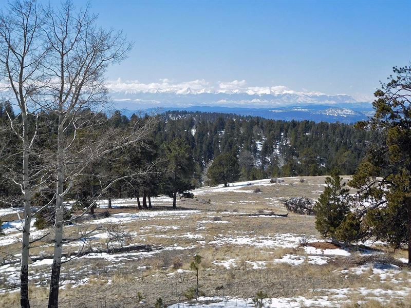 10 Acres Wrapped in Government Land : Cripple Creek : Teller County : Colorado