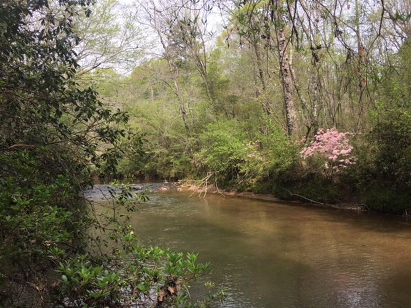 Wacoochee Creek South : Columbus : Lee County : Alabama