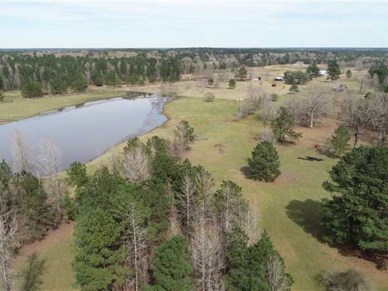 Dalrymple Pastures of Benton, Boss, Farm for Sale in Louisiana, 194932 FARMFLIP